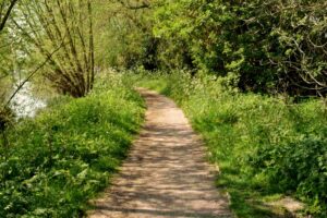 River path